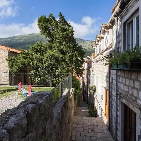 Apartment House Of The Dragon